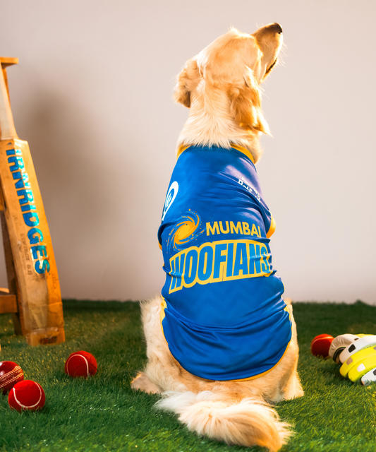 Mumbai Woofians IPL Dog Jersey