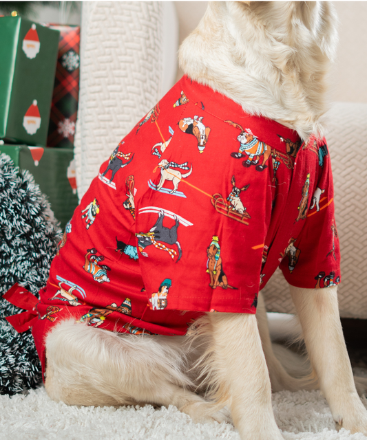 Dashing through the Snow Dog Shirt