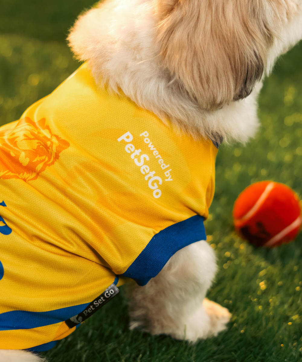 Chennai Super Paws IPL Dog Jersey