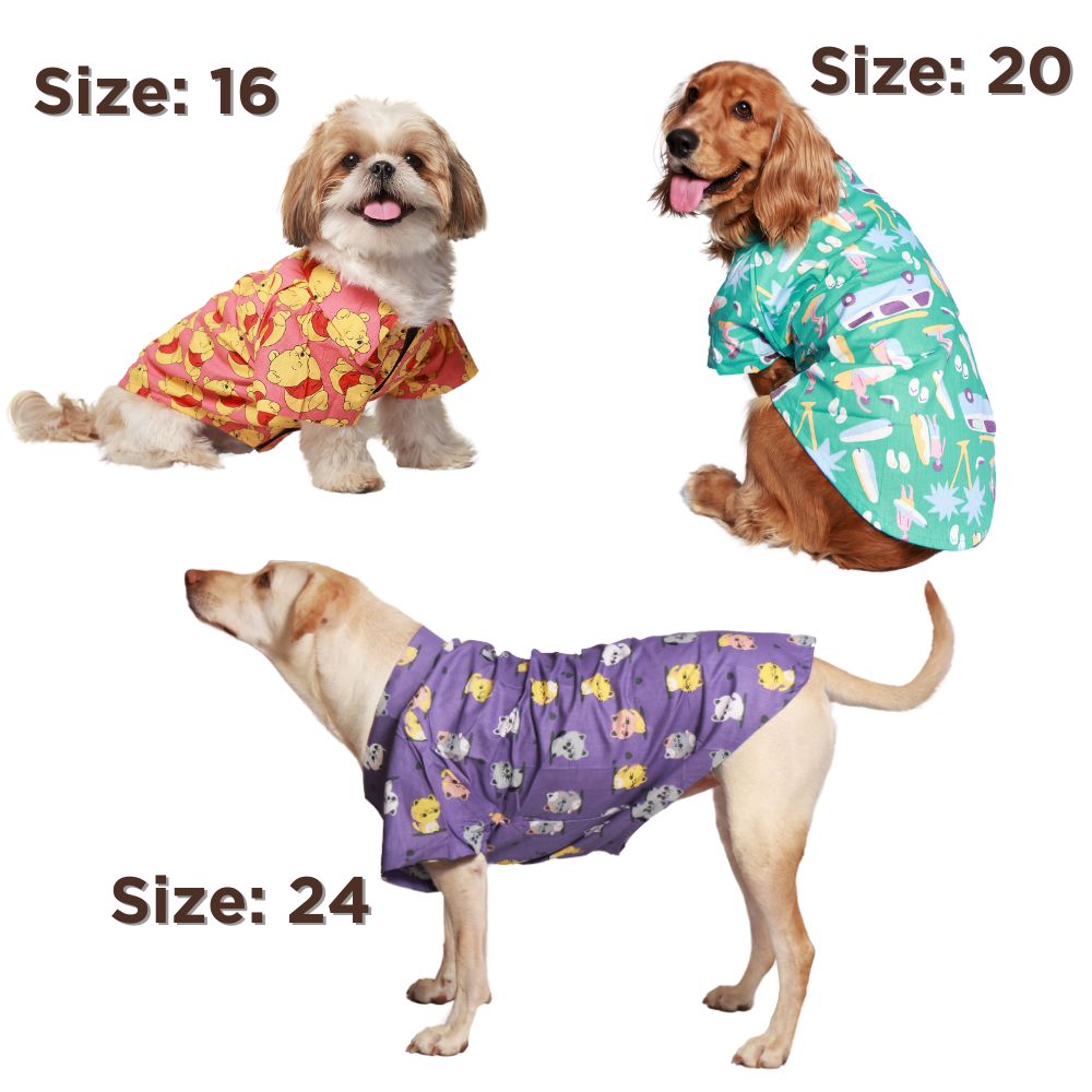 Summery Dog Shirt Pack of 2