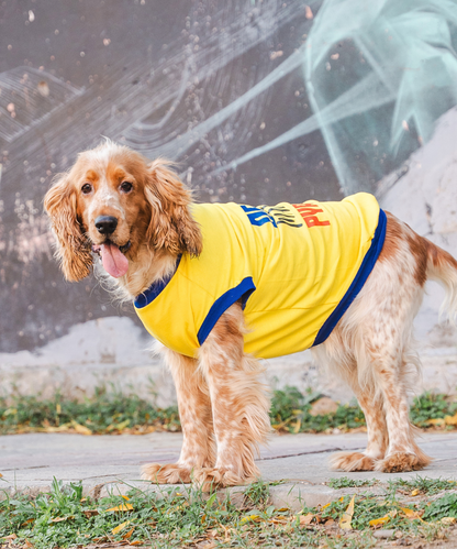 Dekho Magar Pyaar Sey Dog T-shirt