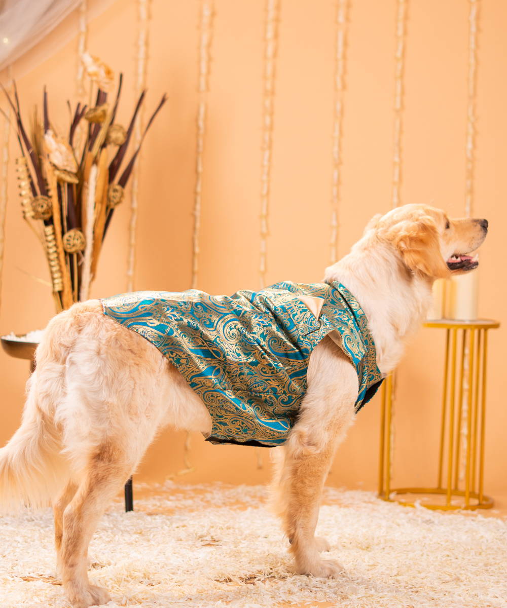 Cute Dog Kurtas Pack of 2