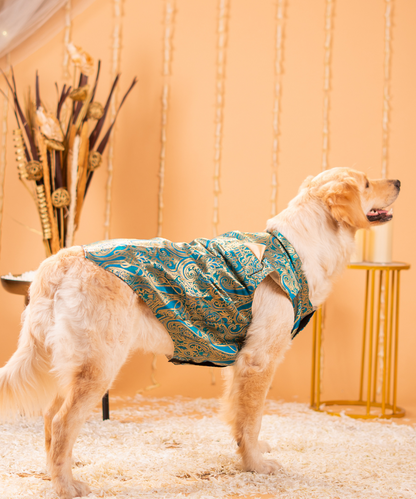 Cute Dog Kurtas Pack of 2