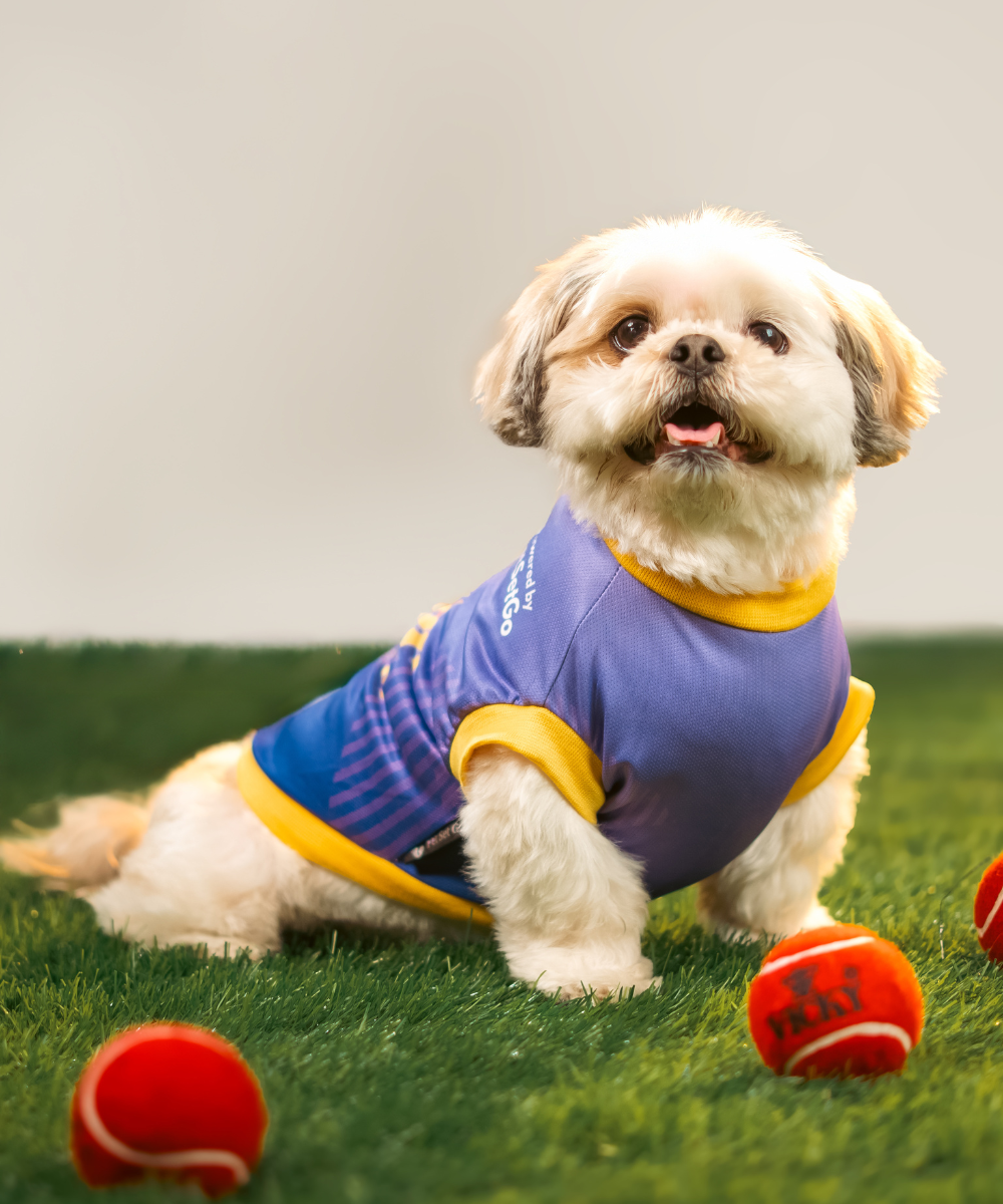 Kolkata Woof Gliders IPL Dog Jersey
