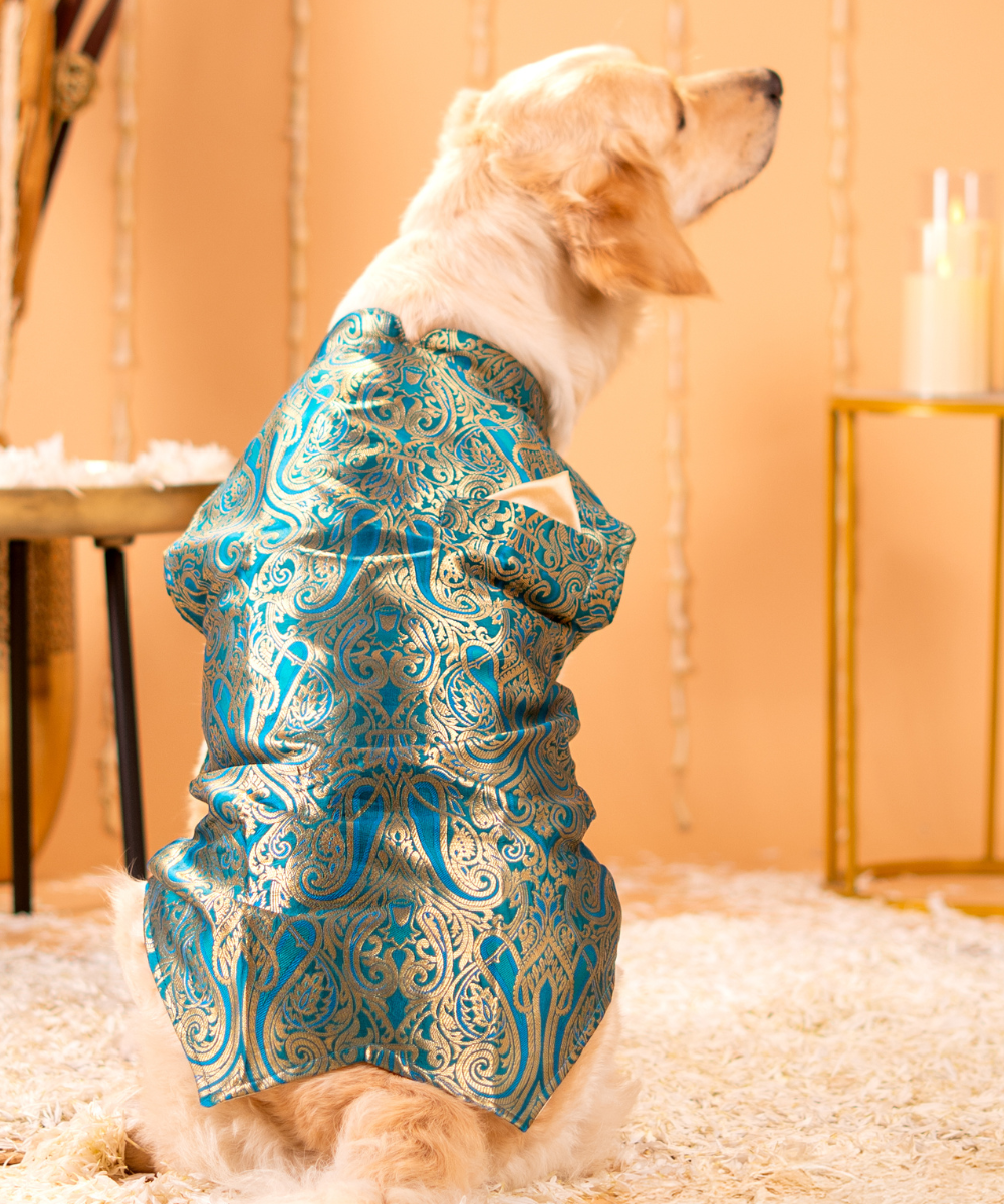 Lovely Dog Kurtas Pack of 2