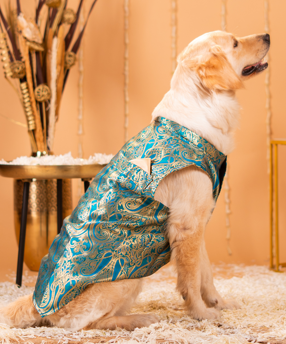 Dazzling Dog Kurtas Pack of 2