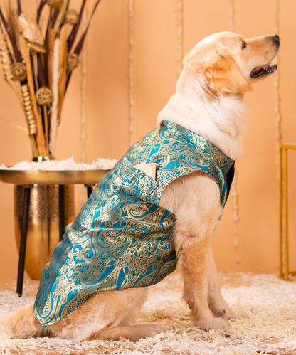 Dazzling Dog Kurtas Pack of 2