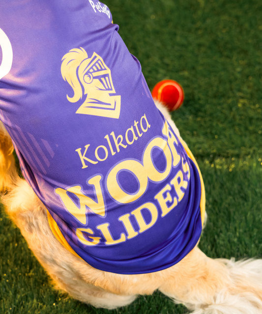 Kolkata Woof Gliders IPL Dog Jersey