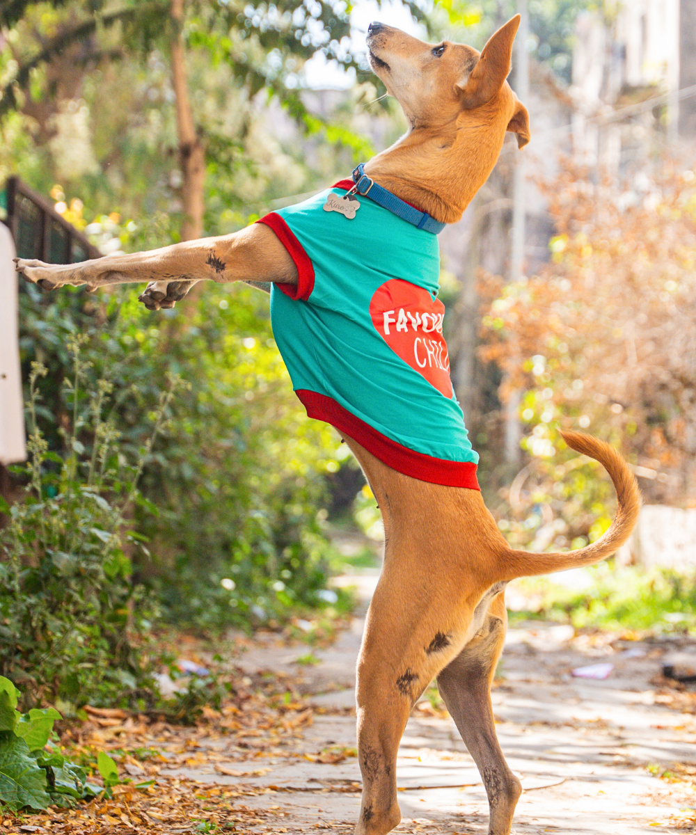 Favourite Child Dog T-shirt