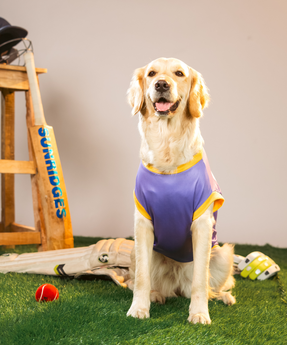 Kolkata Woof Gliders IPL Dog Jersey