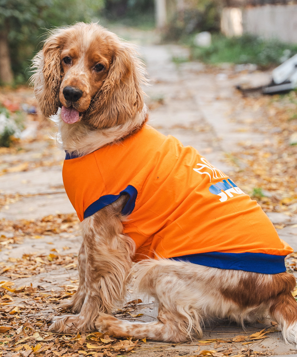Naps & Snacks Dog T-shirt