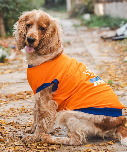 Naps & Snacks Dog T-shirt