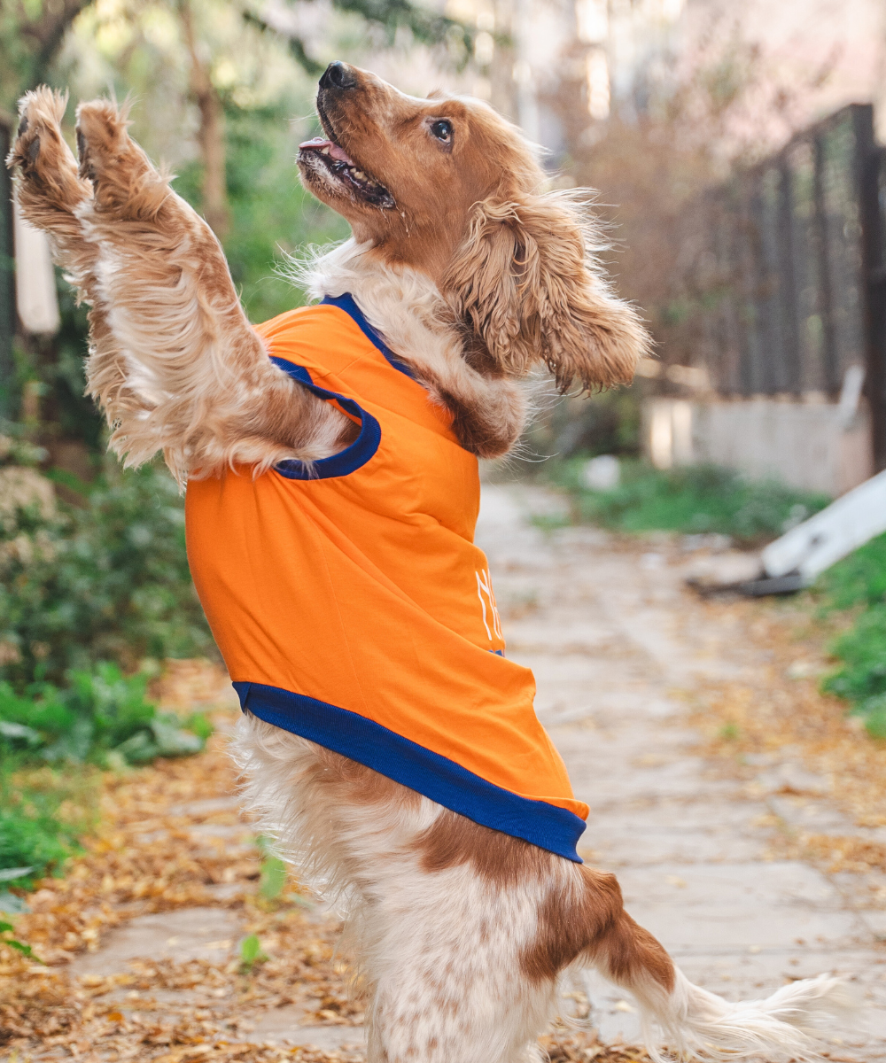 Naps & Snacks Dog T-shirt