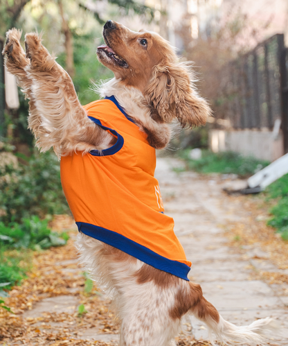 Super Saver Pack of 3 T-shirts Bossy