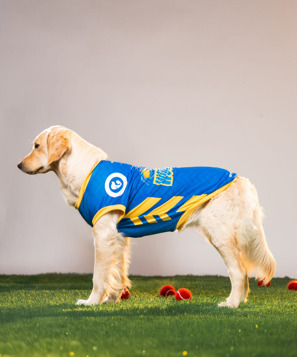 Mumbai Woofians IPL Dog Jersey