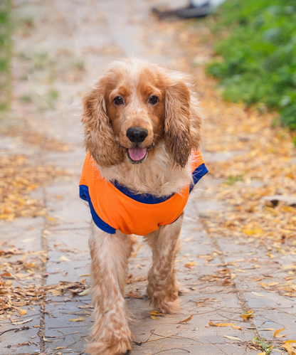 Naps & Snacks Dog T-shirt