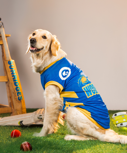 Pack of 2 IPL Dog Jersey - Striker
