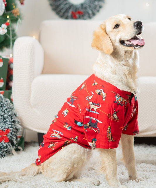 Dashing through the Snow Dog Shirt