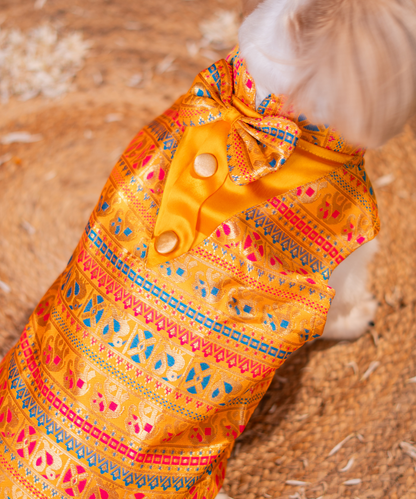 Lovely Dog Kurtas Pack of 2