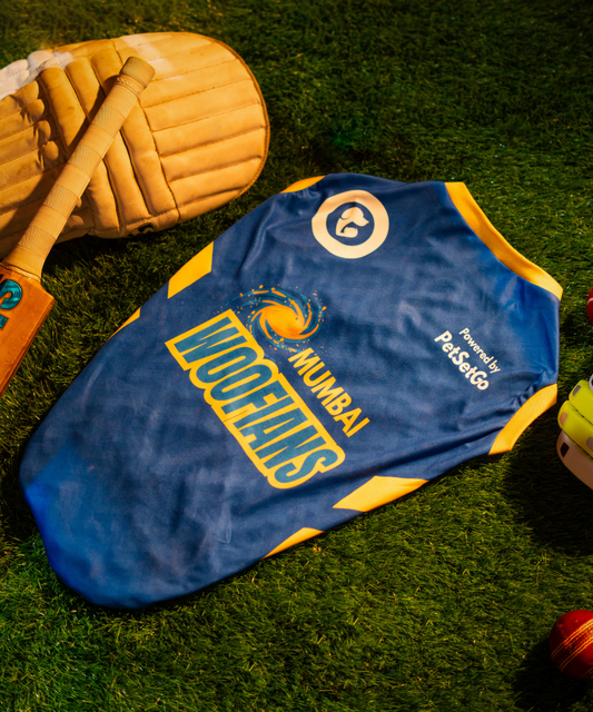 Pack of 2 IPL Dog Jersey - Furchaser