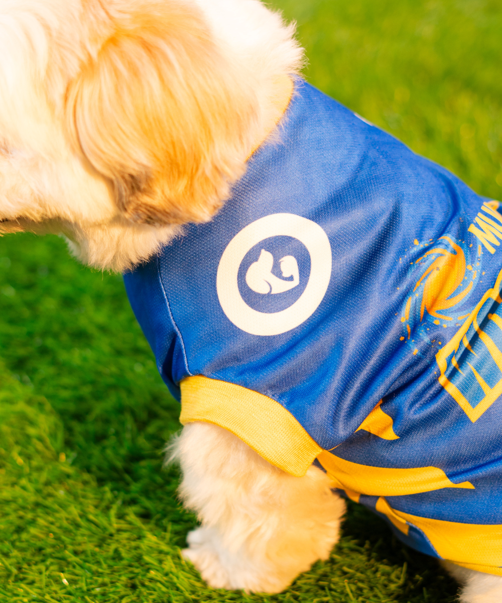 Mumbai Woofians IPL Dog Jersey