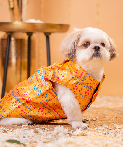 Lovely Dog Kurtas Pack of 2