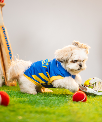 Mumbai Woofians IPL Dog Jersey