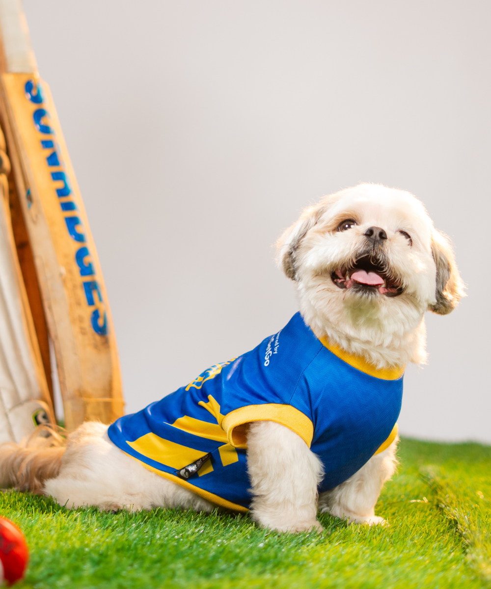 Mumbai Woofians IPL Dog Jersey