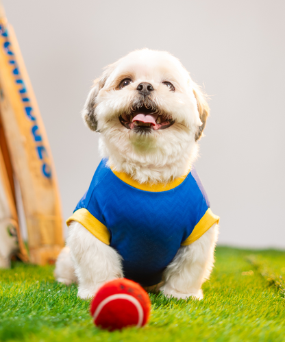 Mumbai Woofians IPL Dog Jersey