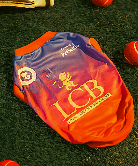 Pack of 2 IPL Dog Jersey - PawPlay