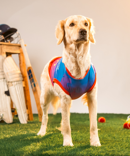 Loyal Chewers Bangalore IPL Dog Jersey