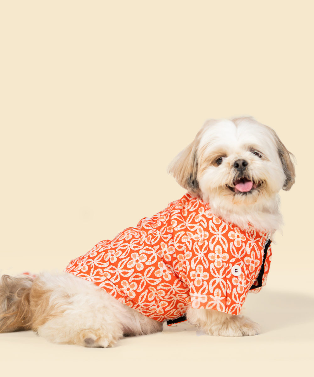 Noor Cotton Dog Shirt