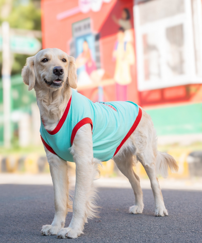 I'm a Star Dog T-shirt