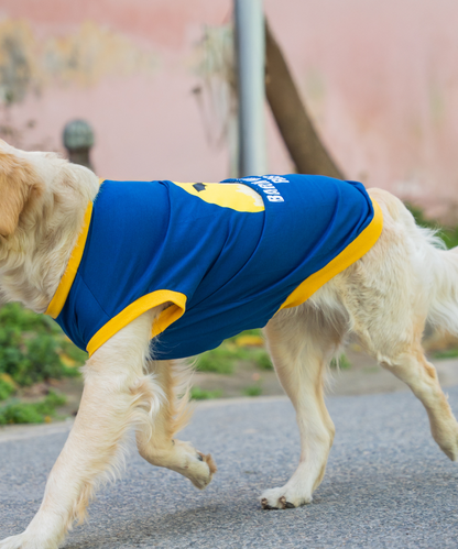 Bark Knight Rises Dog T-shirt