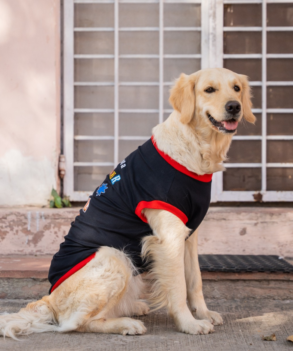 Super Saver Pack of 3 T-shirts Silly