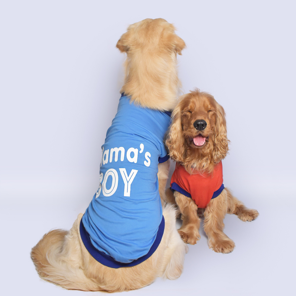 Mama's Boy Dog T-Shirt