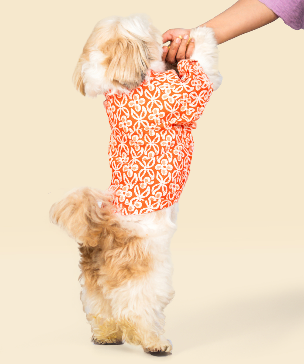 Noor Cotton Dog Shirt