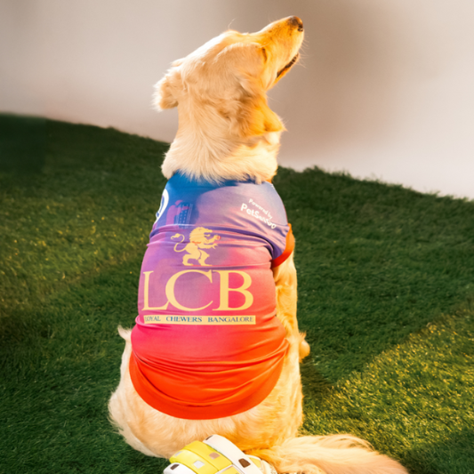 Loyal Chewers Bangalore IPL Dog Jersey