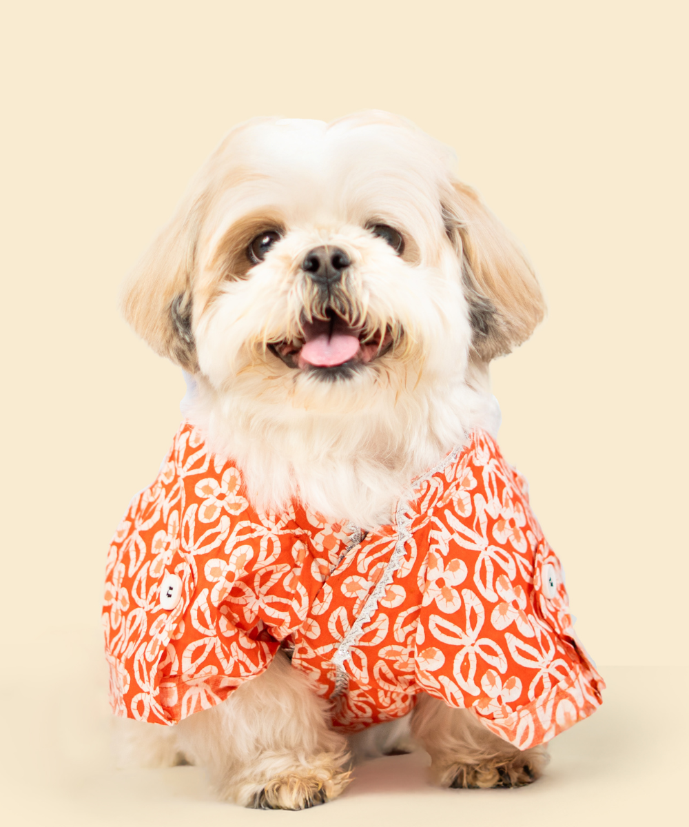 Noor Cotton Dog Shirt