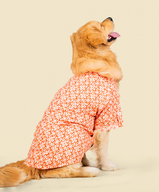 Noor Cotton Dog Shirt