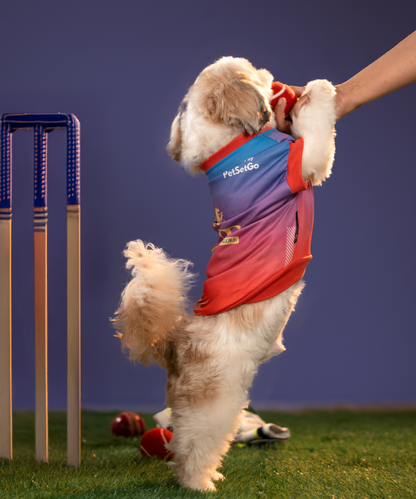 Loyal Chewers Bangalore IPL Dog Jersey