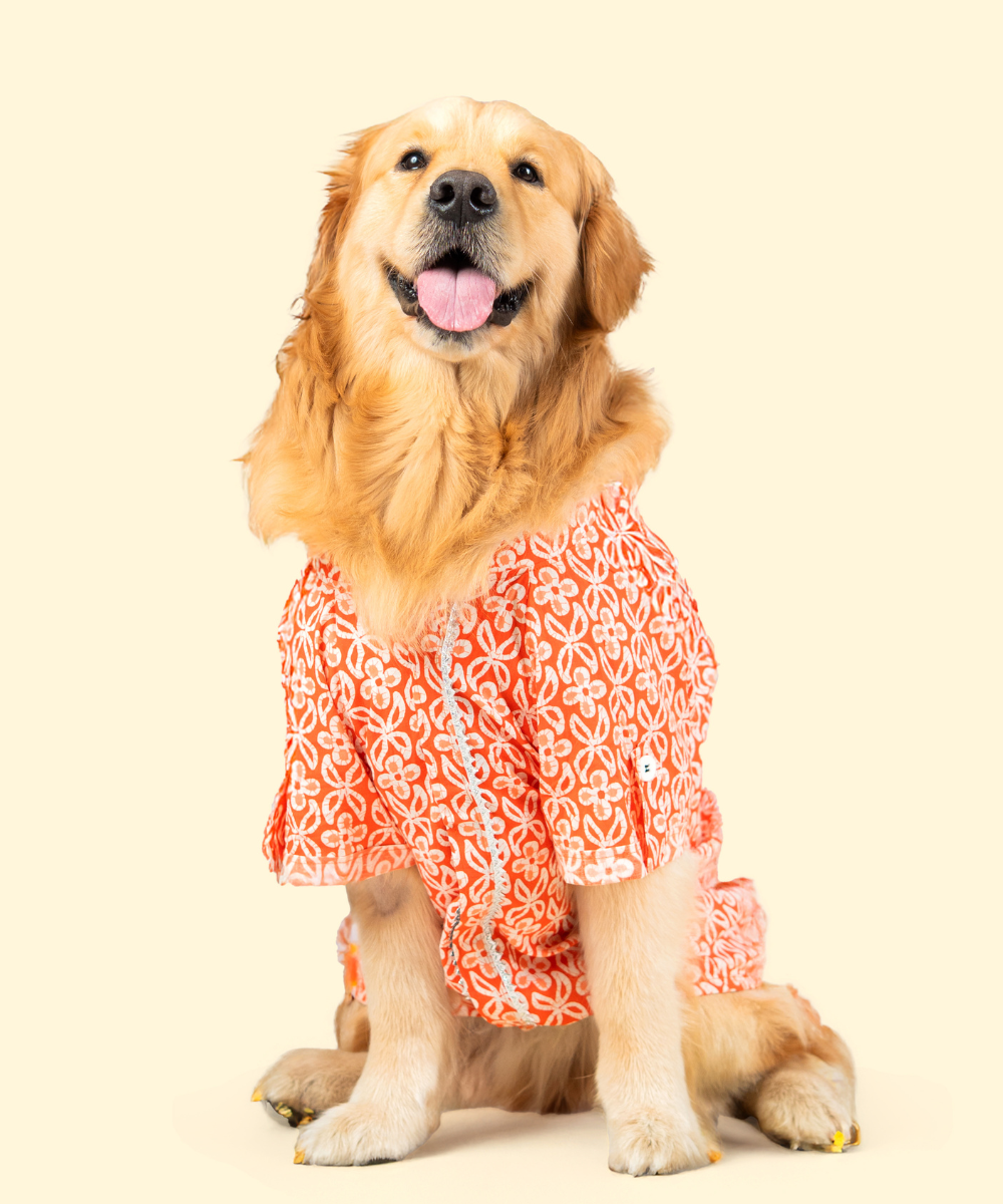 Noor Cotton Dog Shirt