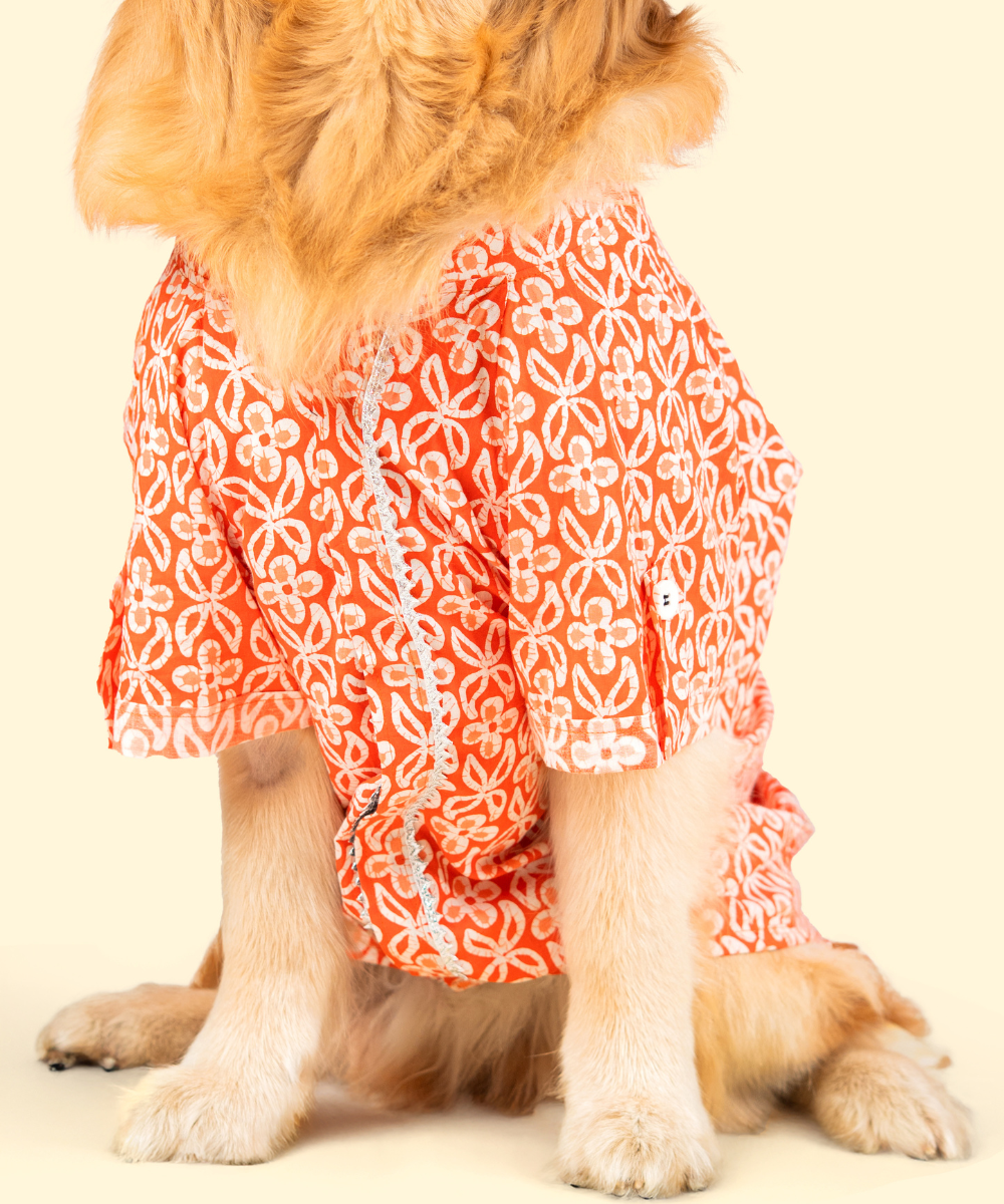 Noor Cotton Dog Shirt