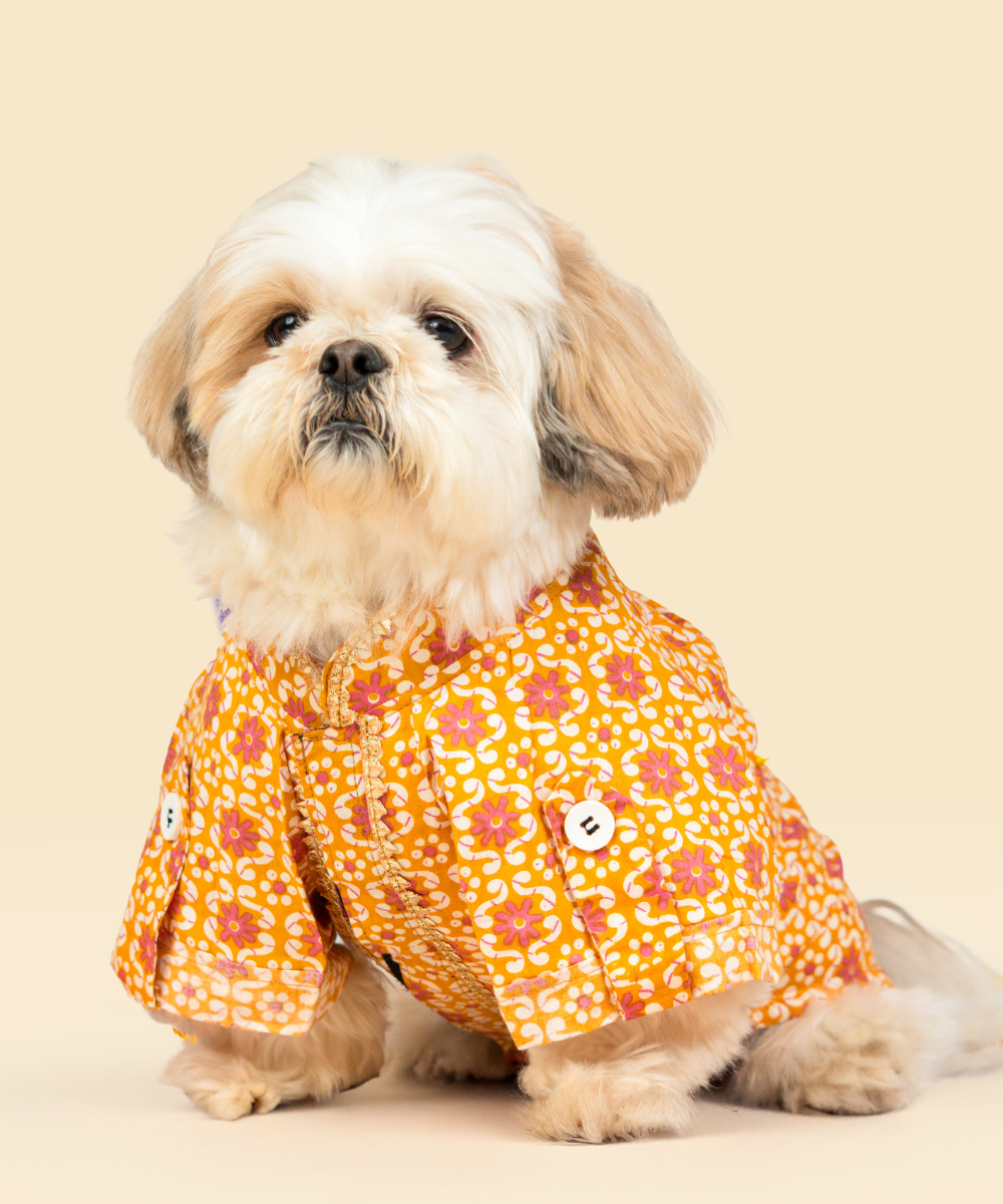 Phool Cotton Dog Shirt