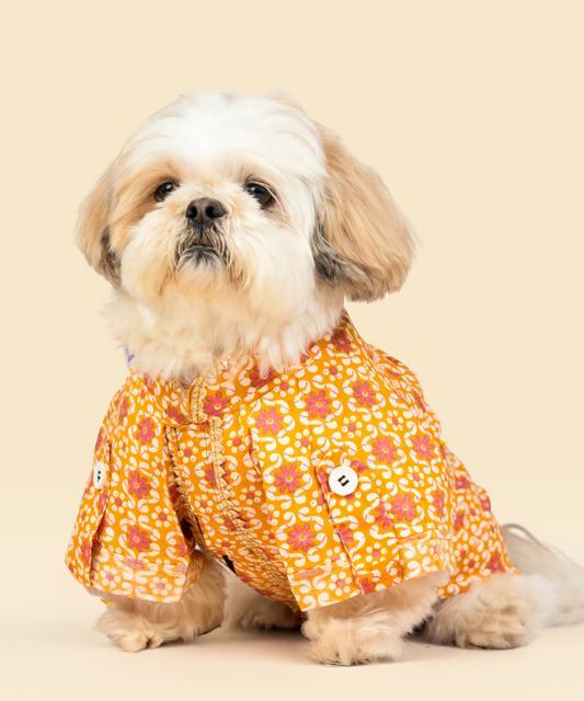 Phool Cotton Dog Shirt