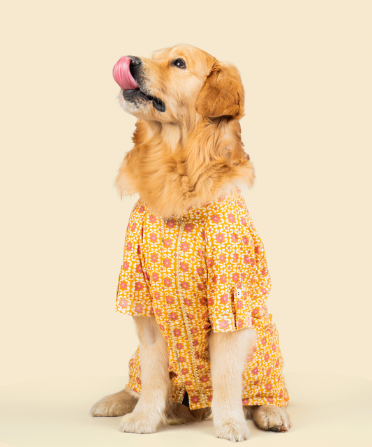Phool Cotton Dog Shirt