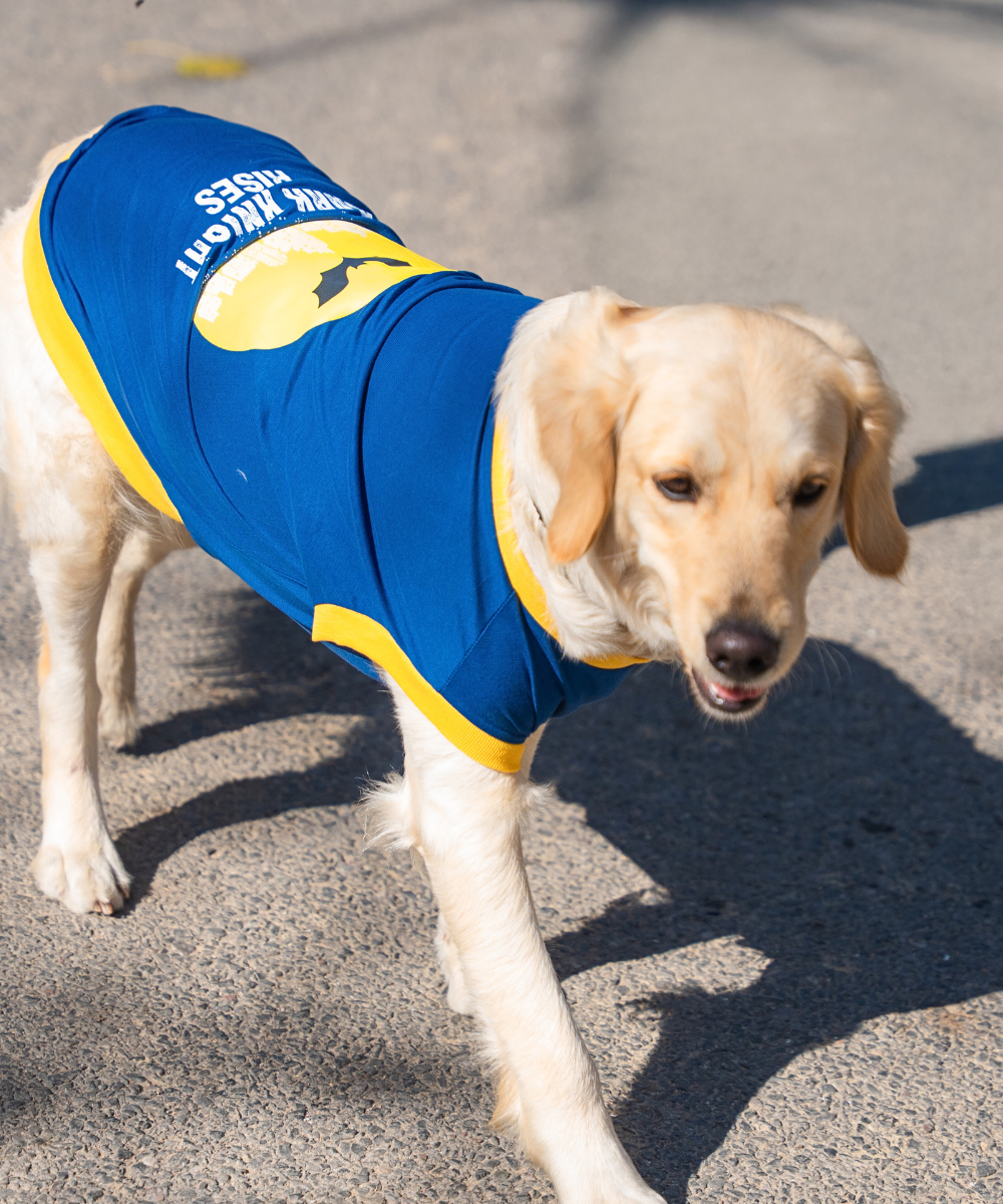 Bark Knight Rises Dog T-shirt