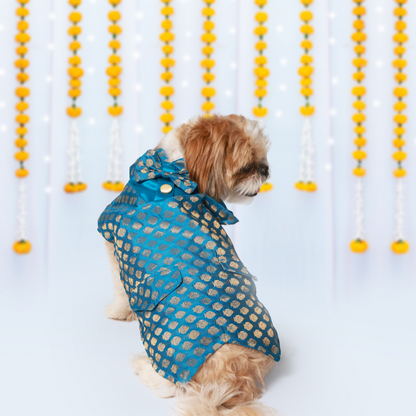 Bliss Dog Kurtas Pack of 2