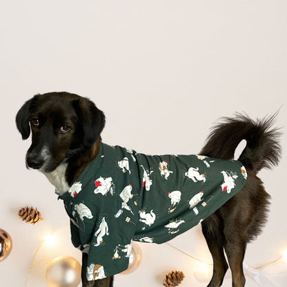 Mr Snow Man Dog Shirt