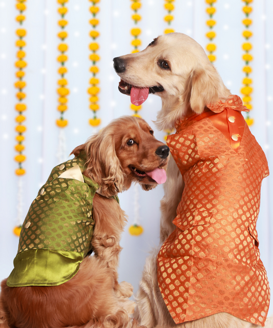 OG Dog Kurtas Pack of 2